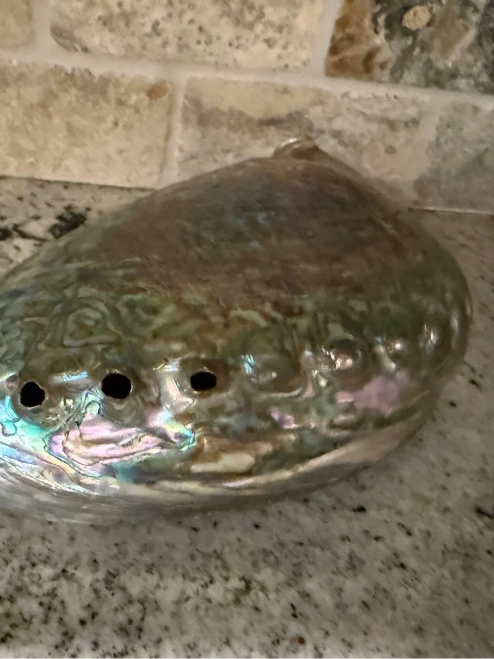 Large Iridescent Abalone Shell Bowl